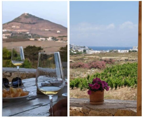 Paros : Wine Tasting - Natural Wine - Tips for Your Wine Tasting Visit