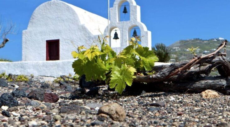 Paros Wine Tour and Tasting - Tour Pricing and Duration