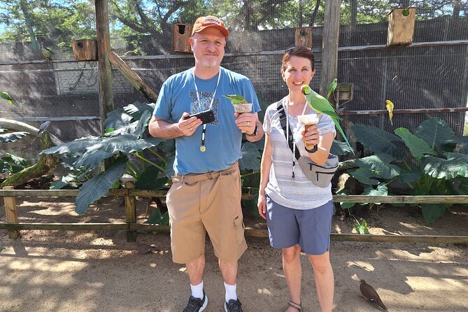 Parotte Ville Bird Park Tour From Philipsburg  - St Maarten - Exploring Parotte Ville Bird Park