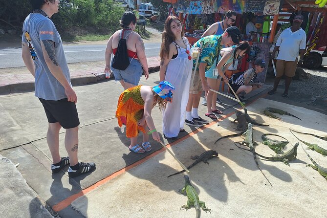 Parotte Ville Bird Park Tour From Philipsburg  - St Maarten - Cancellation Policy and Weather Considerations