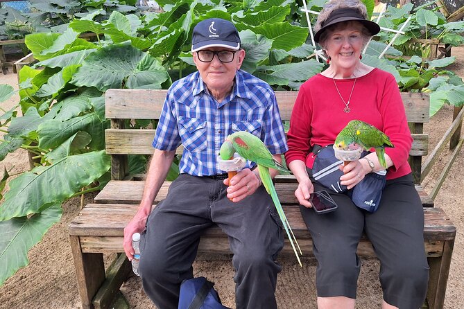 Parotte Ville Bird Park Tour From Philipsburg  - St Maarten - Common Questions