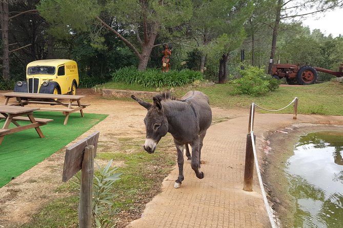 Parque Da Mina Entrance Ticket - Photography and Visual Insights
