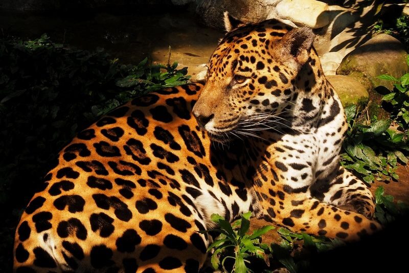 Parque de la Conservacion Admission in Medellin - What to know before you go