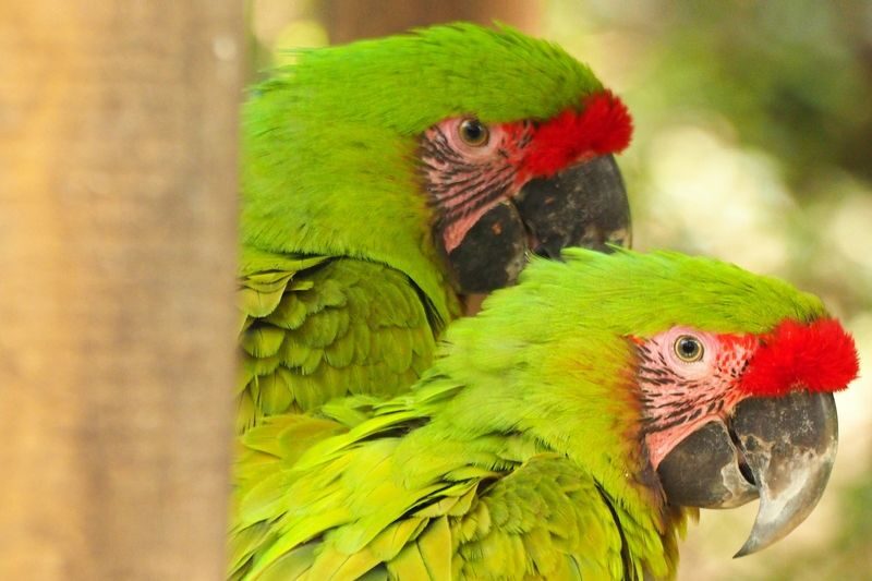Parque de la Conservacion Admission in Medellin - Who will enjoy this visit