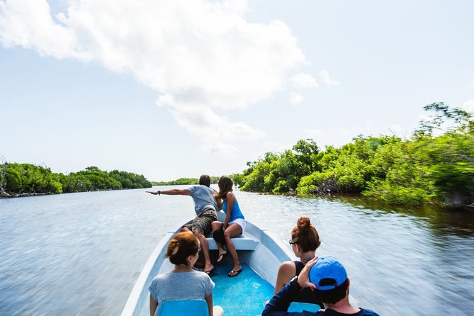 Parque Natural Ría Lagartos and Las Coloradas From Cancun in - Customer Reviews and Ratings