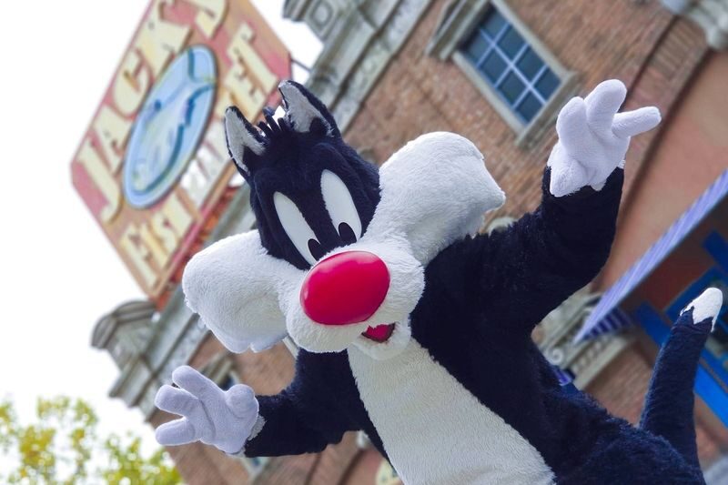 Parque Warner Ticket & Transfer from Madrid - Cartoon Village gives families another pace