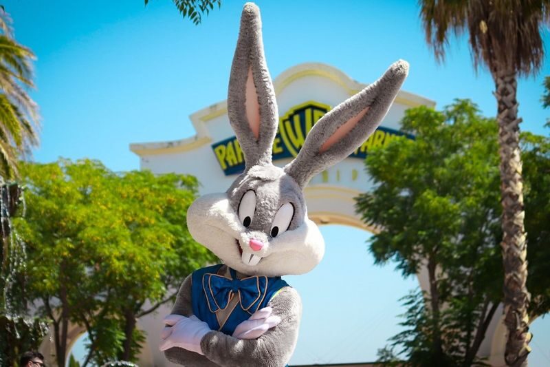 Parque Warner Ticket & Transfer from Madrid - What the price covers, and what it does not
