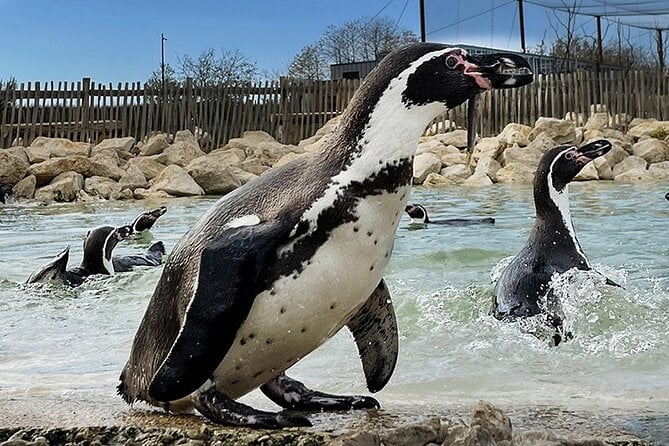 Parrot World Day Ticket - Marne-La-Vallée Animal Park - Reviews and Ratings