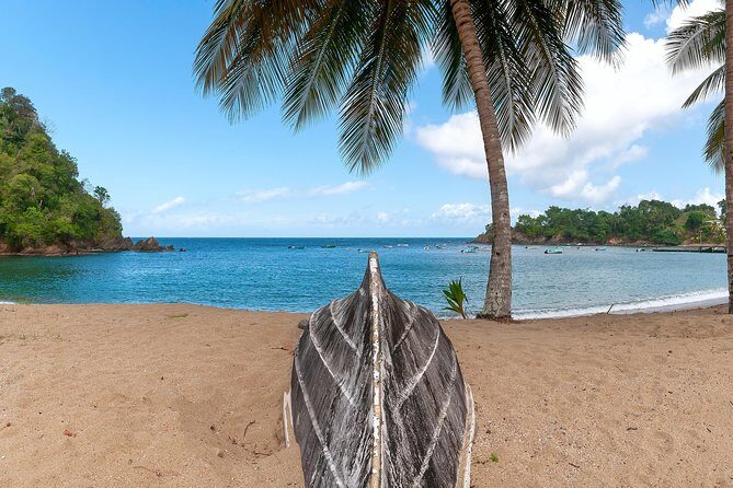 Partlatuvier Bay Day Trip with Lunch - An In-Depth Look at the Tour Itinerary