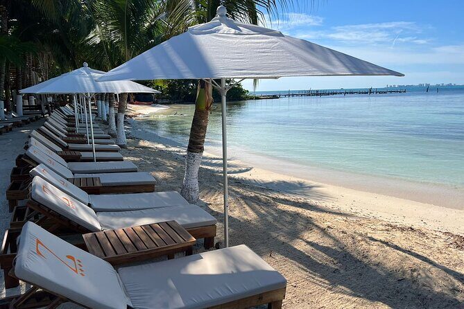 Party at Isla Mujeres Catamaran Open Bar! Half-Day Luxury Tour - The Sum Up