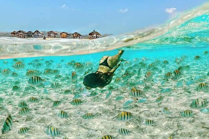 Party Boat Booze Cruise - Reviews