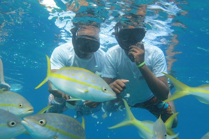 Party Boat Puerto Plata - Top Attractions in Puerto Plata