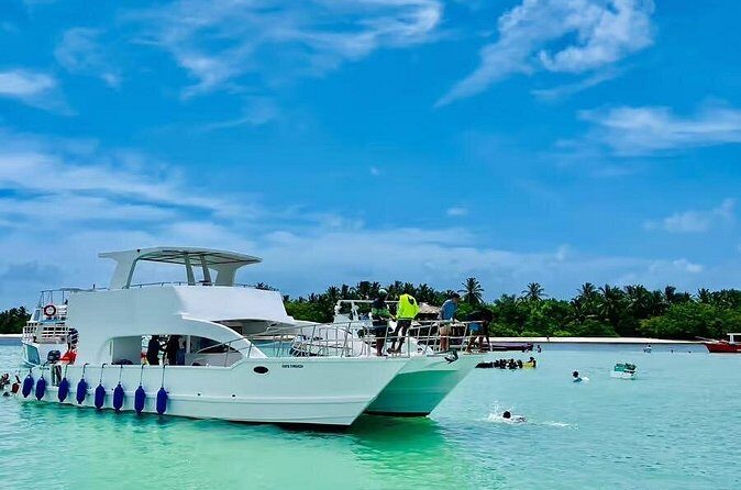 Party Boat Tour in Punta Cana - Navigating the Price and Overall Value