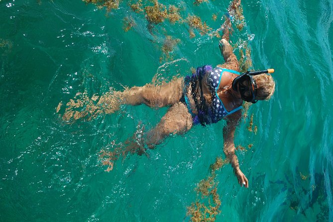 Party Boat VIP Snorkeling Punta Cana - Important Information for Participants