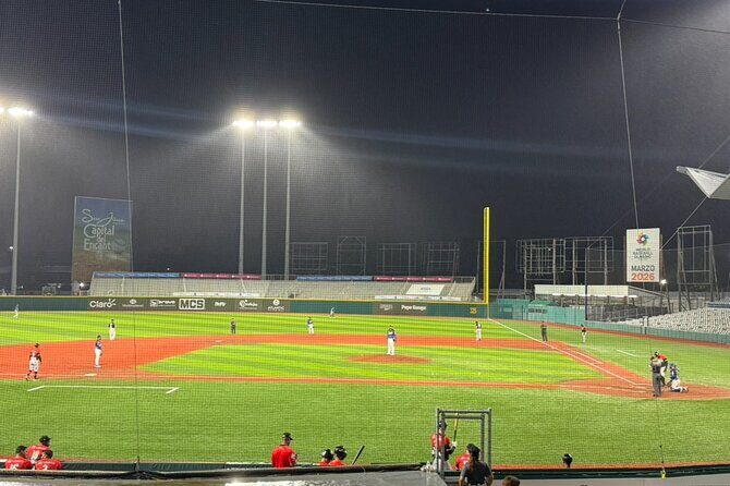 Party Bus and Baseball Game Puerto Rico - Practical Details: Making the Most of Your Tour