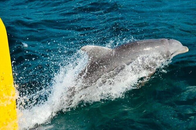 PARTY Catamaran Cruise with Snorkeling Rick's Cafe ADULTS ONLY - Final Thoughts