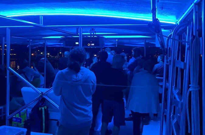 Party Cruise aboard the Soundside Cruiser - Who Should Book This Experience?