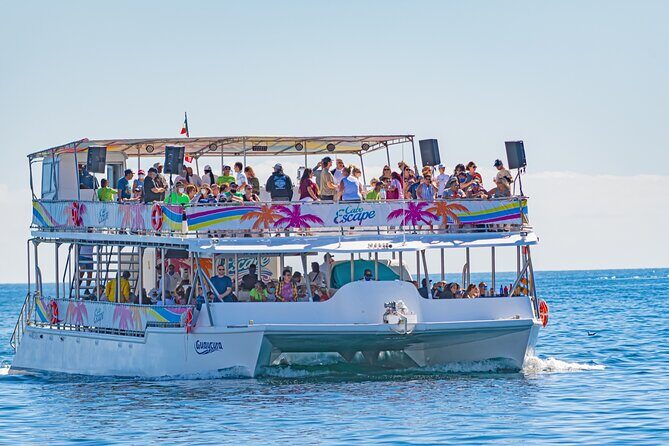 Party Cruise to the Arco de Cabo I Sunset Fajitas - The Views and Atmosphere  