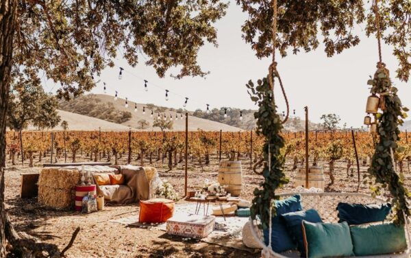 Paso Robles: After Hours Winery Tour Wine & Cheese Picnic - The Sum Up