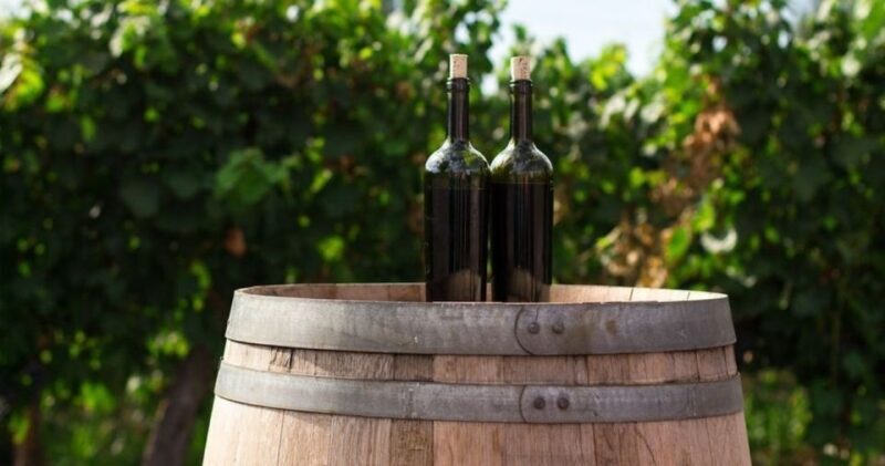 Paso Robles: Grapevine Getaway Exclusive Wine Tour - Who Would Love This Tour?