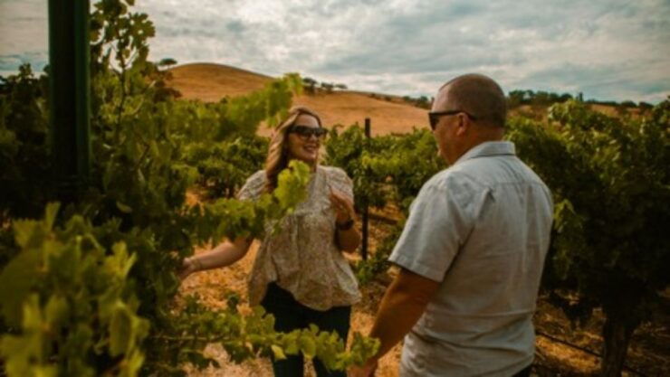 Paso Robles: Sidecar Premier Wine Tour With Tastings - Highlights