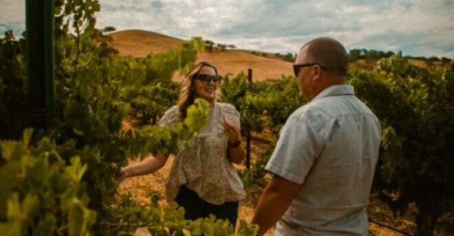 Paso Robles: Sidecar Premier Wine Tour With Tastings - Full Description