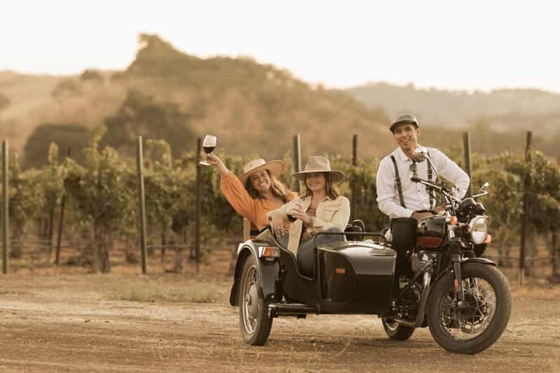 Paso Robles: Vineyard Rides Wine Adventure - A Deep Dive Into the Vineyard Rides Experience