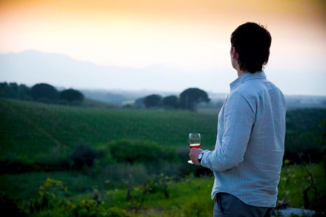 Paso Robles Wine Adventure With Pickup From San Luis Obispo, CA - Wine Tasting at Four Wineries