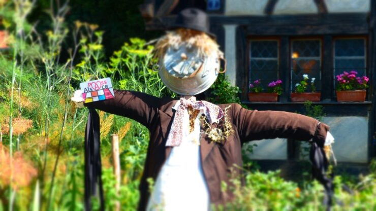 Pass Alsace : the Best of Alsace in Your Pocket - Pass Alsace Overview