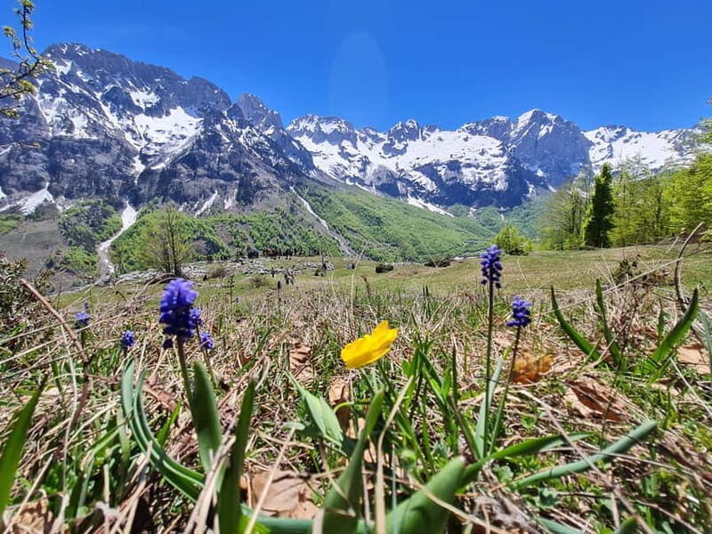 Pass Valbona - Theth: Albanian Alps in a 3-Day Trip - Transportation and Group Experience