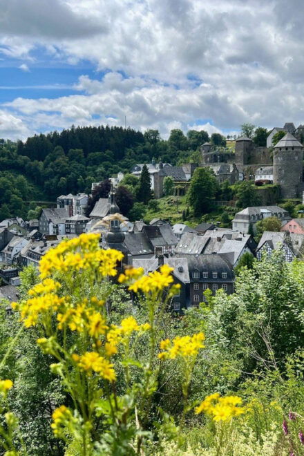 Passau's Historic Gems: Family Walking Tour - Itinerary Breakdown