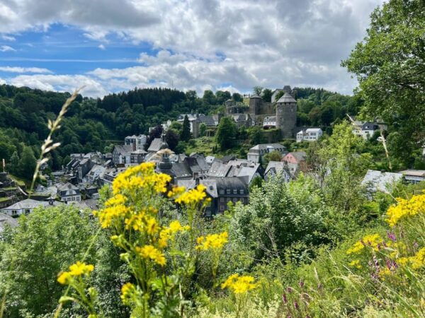 Passau's Historic Gems: Family Walking Tour - Meeting Point Information