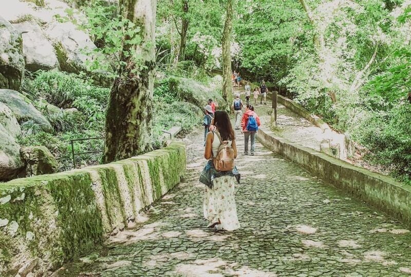 Passeio em Grupo Para Sintra e Cascais Saindo de Lisboa - The Practicalities: Transportation, Timing, and Group Size