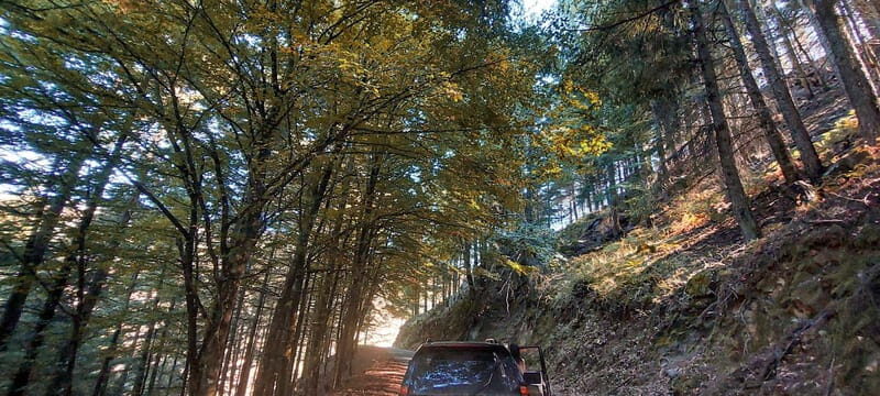 Passeio Guiado em 4x4 para conhecer a Serra da Estrela - Food, Wine, and Relaxation at Sunset