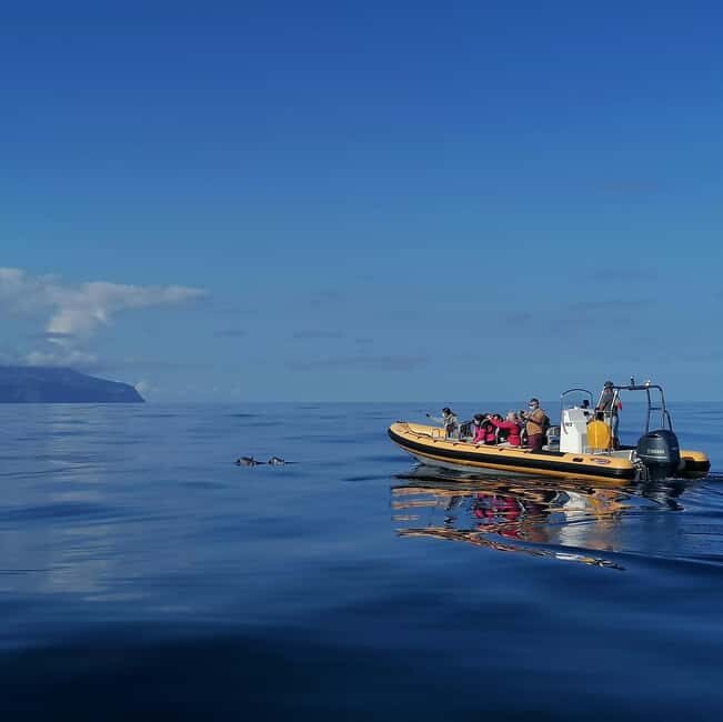 Passeios Turísticos: Trip to Corvo by Boat - Good To Know