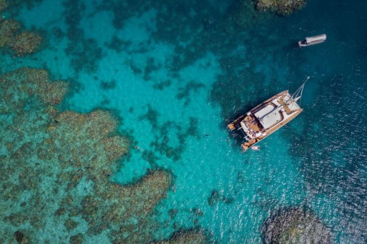 Passions of Paradise Be A Marine Bio for the Day! - Booking and Logistics