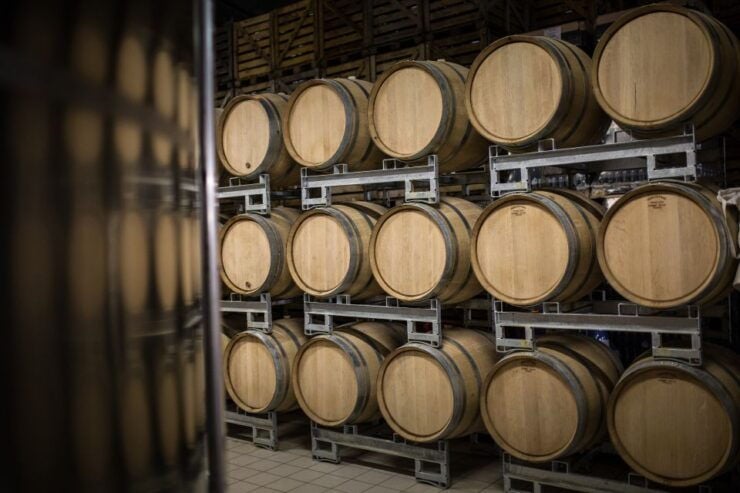 Passy-Grigny: Champagne Tour With 3 Meunier Tastings - Champagne Tasting Session