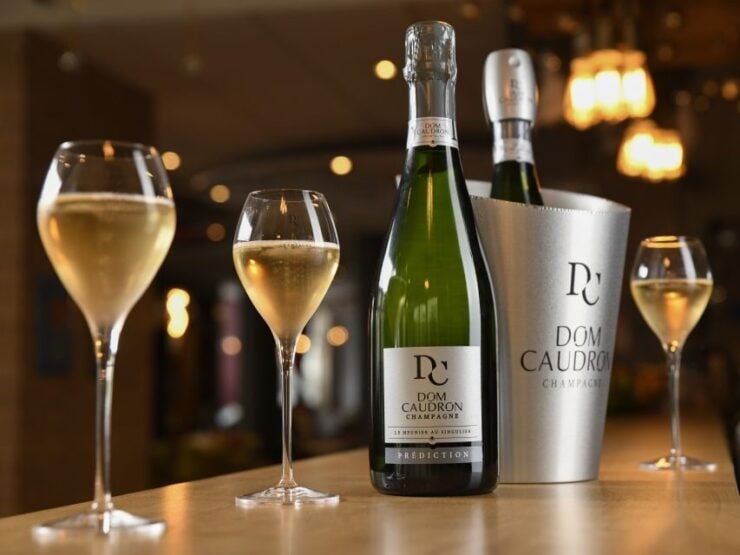 Passy-Grigny: Champagne Tour With 3 Meunier Tastings - Tour Inclusions