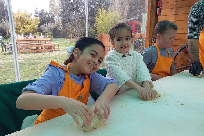 Pasta and Pizza Master Class and Tiramisu Tasting - Exploring Different Styles of Pizza and Pasta Shapes in Italy