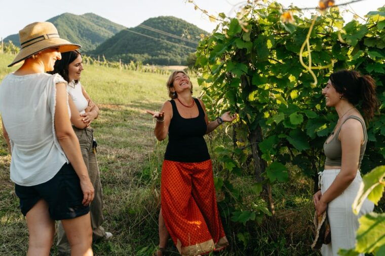 PASTA and WINE: an Experience Between Greenery and Peace, Taste and Companionship - A Taste of Estate Wines