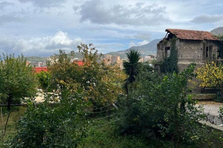 Pasta Experience in Gragnano and Pompeii Private Tour - Good To Know