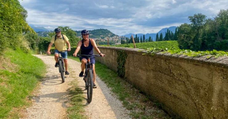Pastrengo: E-Bike Tour and Wine Tasting in the Castle - Good To Know