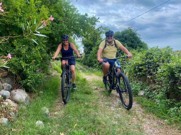 Pastrengo: E-Bike Tour and Wine Tasting in the Castle - Activity Details