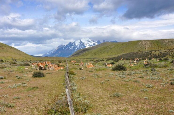 Patagonia Nature Explorer: 7 Day Tour All Inclusive - Inclusions and Accommodations