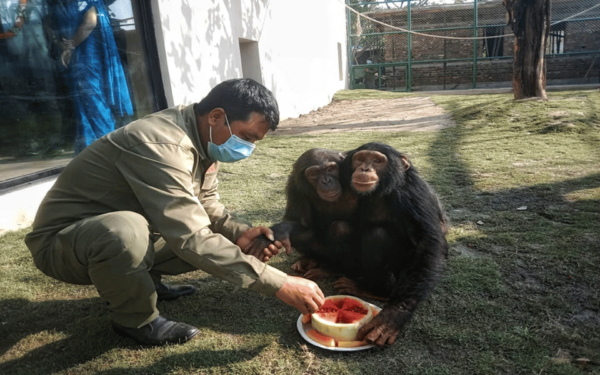 Patan: Patan Durbar, Central Zoo & Godawari Botanical Garden - Inclusions and Exclusions