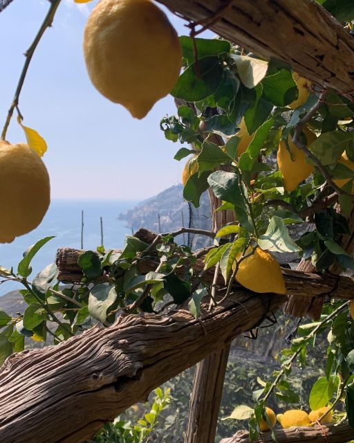 Path of Lemons Trekking Private Tour - Tour Description