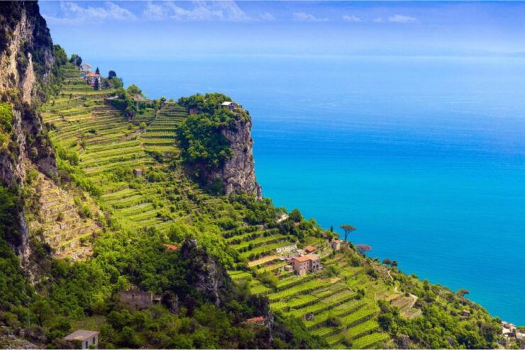 Path of Lemons Trekking Shared Tour From Maiori & Salerno - Tour Details