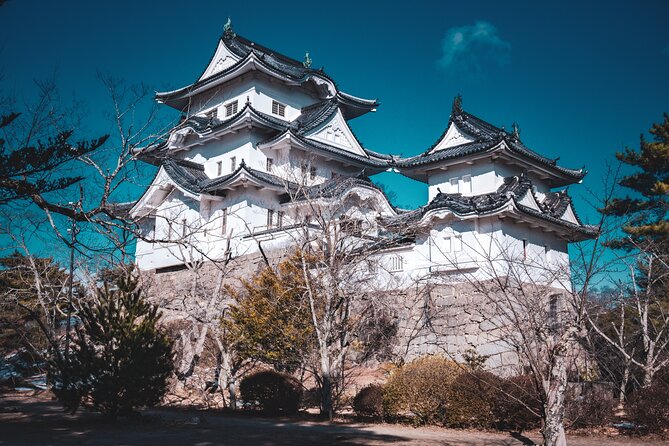 Path of Ninja & Shogun: Private Van History Tour From Kyoto - Tour Highlights