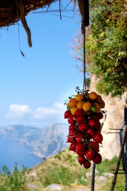 Path of the Gods From Sorrento With a Local Guide - Key Experience Highlights