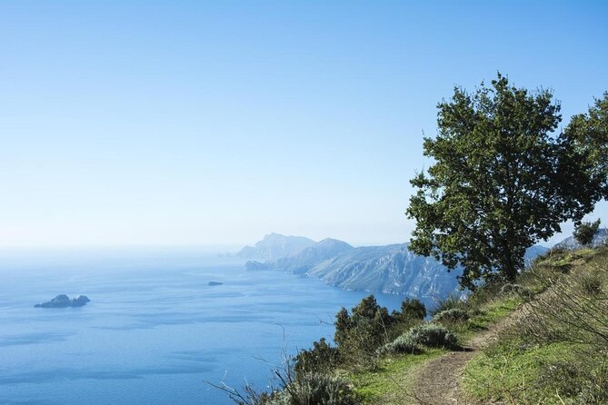Path of the Gods Hiking Tour From Sorrento - Tour Overview